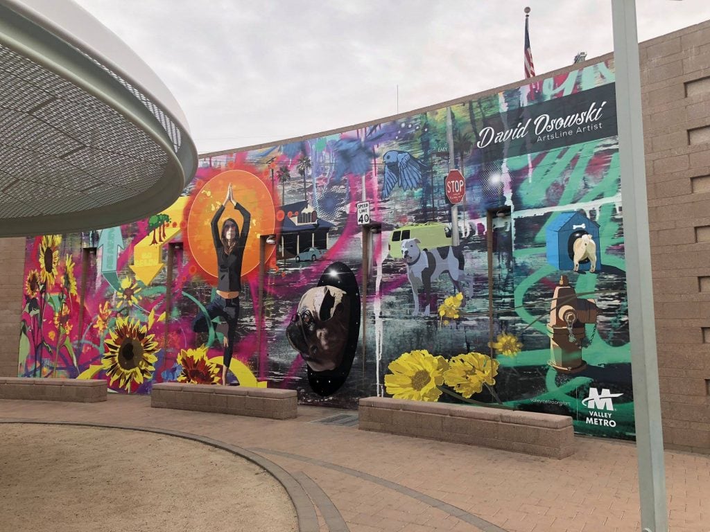 Bright and lively wall murals with a variety of colors and designs.